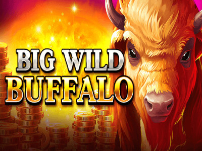 321Crypto Casino