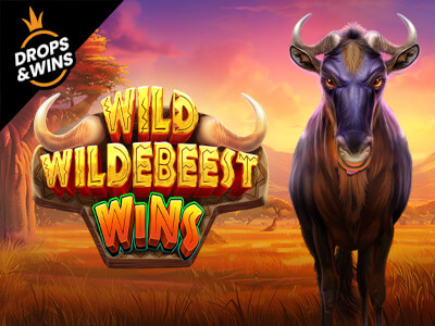 Sportbet net